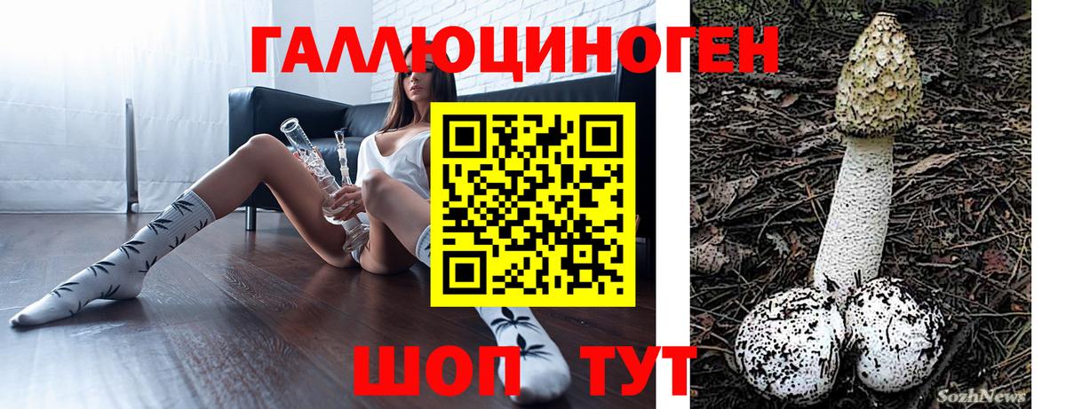 как найти наркотики  Галлюциногенные грибы MAGIC MUSHROOMS  Вход с VPN  Чусовой  Псилоцибиновые грибы Psilocybe 