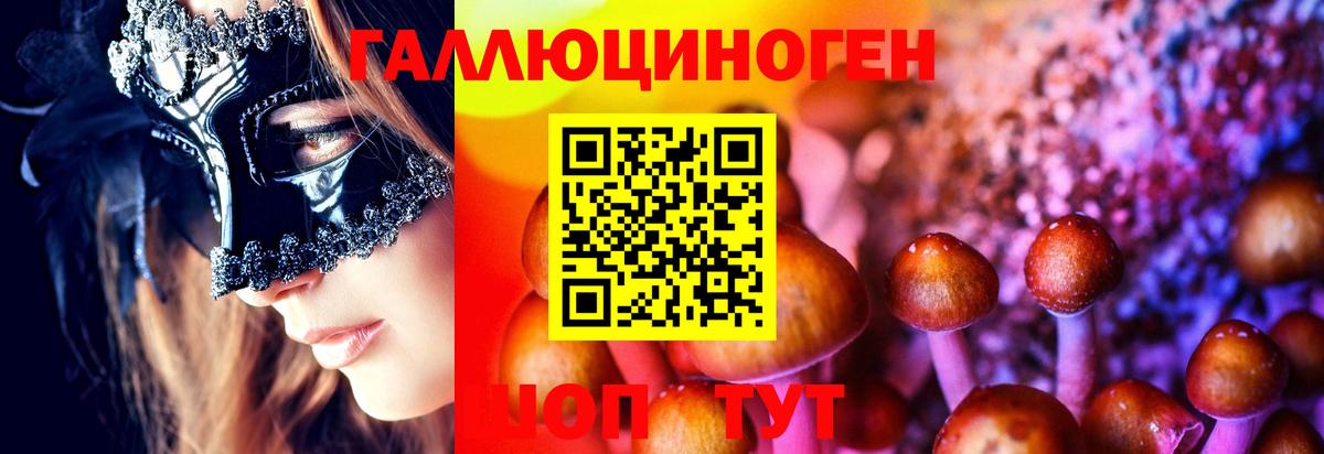 Галлюциногенные грибы Psilocybe Чусовой